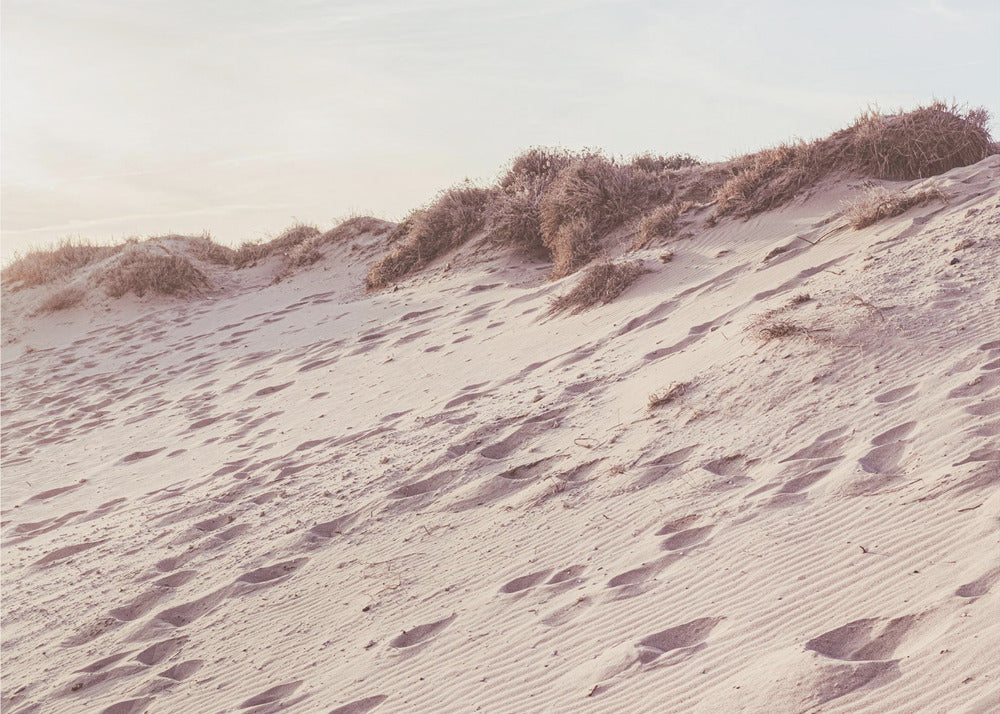 Strand_009