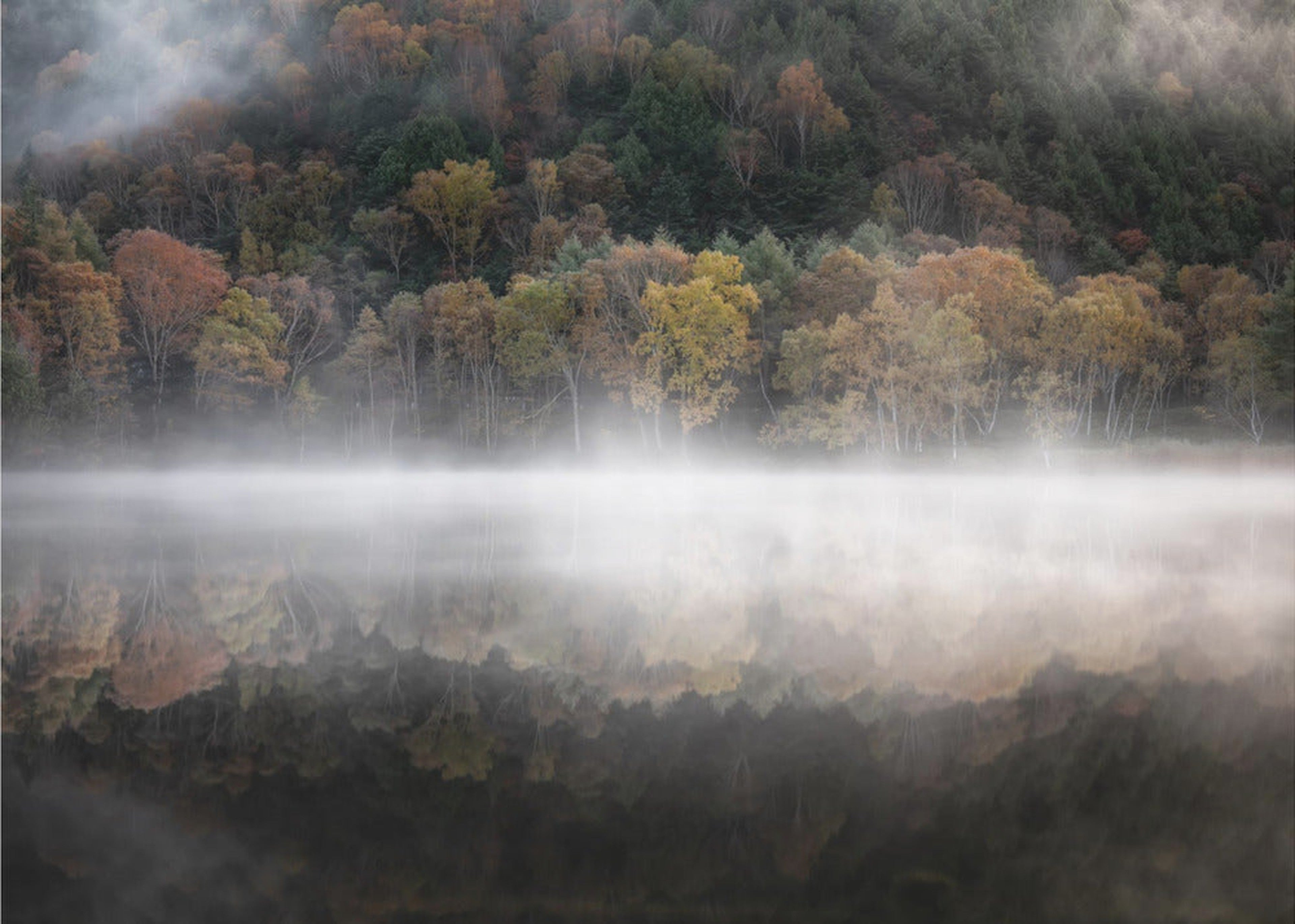 The mystical pond in the autumn