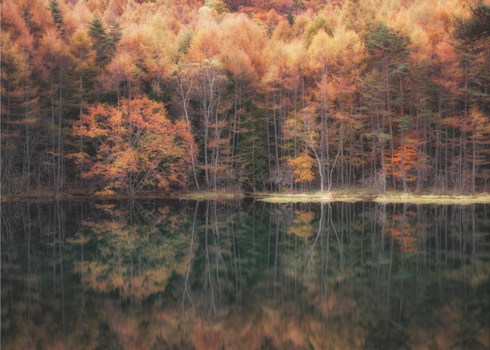 Beautiful reflection in Autumn