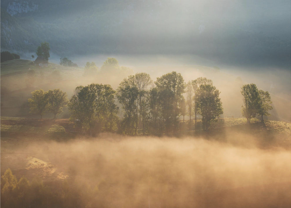 Sunrise veil