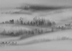 Skog Autumn Impresions – kvalitetsprodukt för ett vackrare och mer hållbart hem