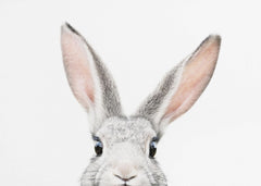 Barnrum Peeking Bunny – kvalitetsprodukt för ett vackrare och mer hållbart hem