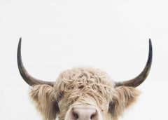 Barnrum Peeking Cow – kvalitetsprodukt för ett vackrare och mer hållbart hem