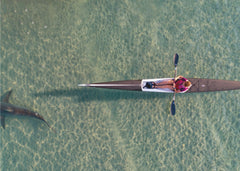 Sport Shark kayaking - Spektakulärt fototapet med kajakpaddling och hajar – fototapet med unikt motiv som skapar en inspir...