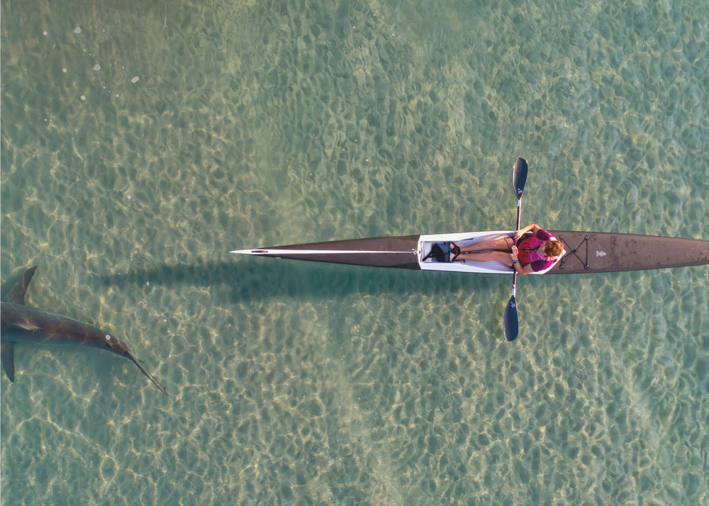 Havkajakkpadling - Spektakulær fototapet med kajakkpadling og haier