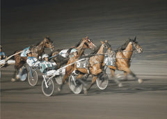 Sport Horseracing - action från travbananbanan – kvalitetsprodukt för ett vackrare och mer hållbart hem