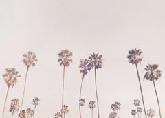 Sommar Sunny Cali Palm Trees – kvalitetsprodukt för ett vackrare och mer hållbart hem