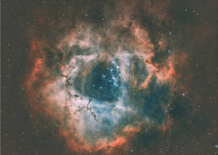 Cosmic Rose Nebula