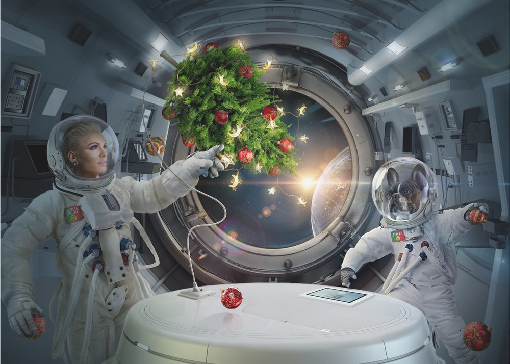 Astronaut Dog Christmas