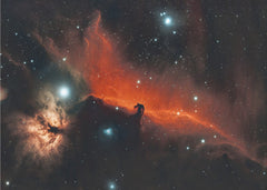Cosmic Horsehead Nebula