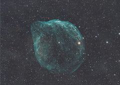 Fantasy DOLPHIN NEBULA - SHARPLESS 2-308 – kvalitetsprodukt för ett vackrare och mer hållbart hem
