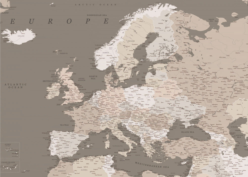 Earth tones detailed map of Europe