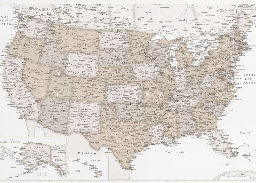 Highly detailed map of the United States, Louie