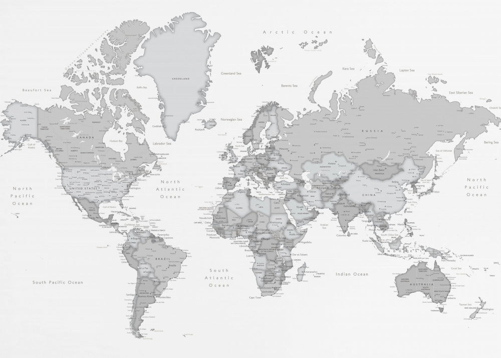 Gray world map with cities, Chas