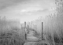 Winding Marsh Boardwalk