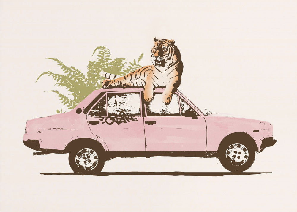 Tiger On Car