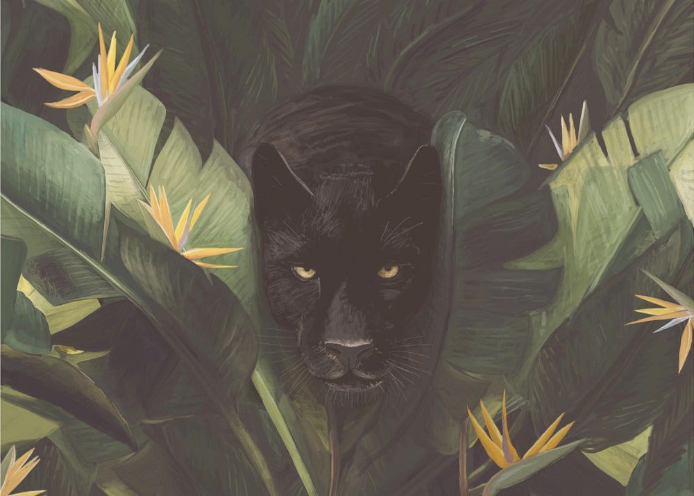 Hei Panther