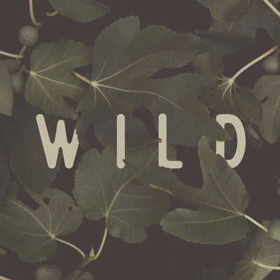 Wild nr. 1 rumsbild 2