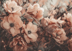 Blommor Coral Wild Peony – kvalitetsprodukt för ett vackrare och mer hållbart hem