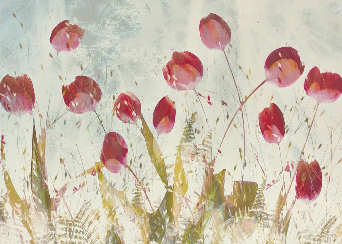 Glade tulipaner