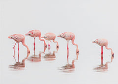 Djur Flamingos in the mist – kvalitetsprodukt för ett vackrare och mer hållbart hem