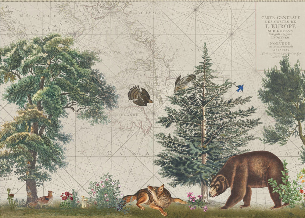Nordic Woods 5