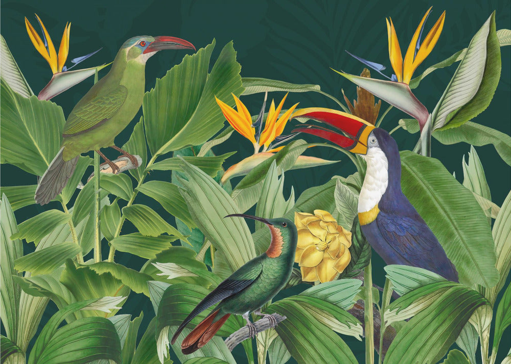 Rainforest Birds – Eksotisk fototapet med tropiske fugler og frodig jungel
