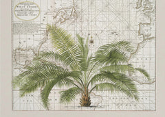 Kartor Tropical Empire No1 – kvalitetsprodukt för ett vackrare och mer hållbart hem