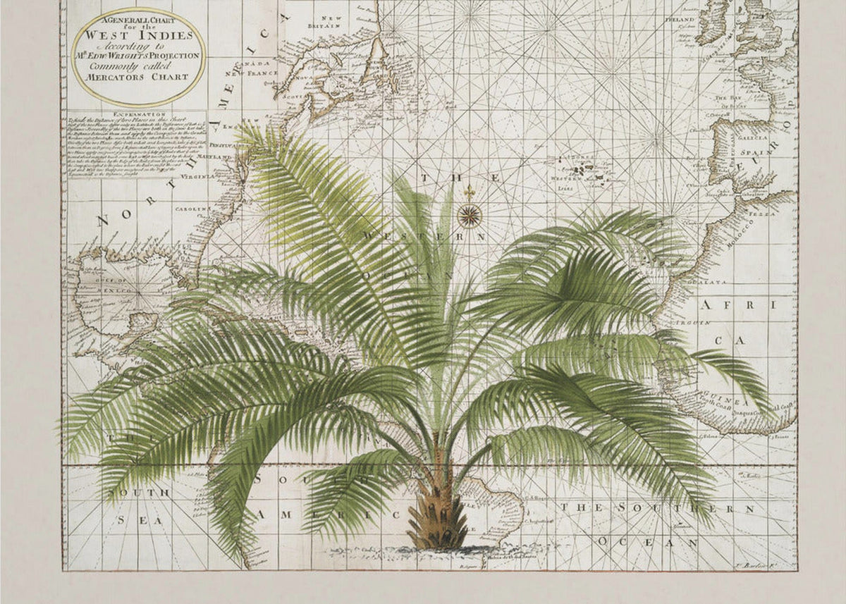 Tropical Empire No1