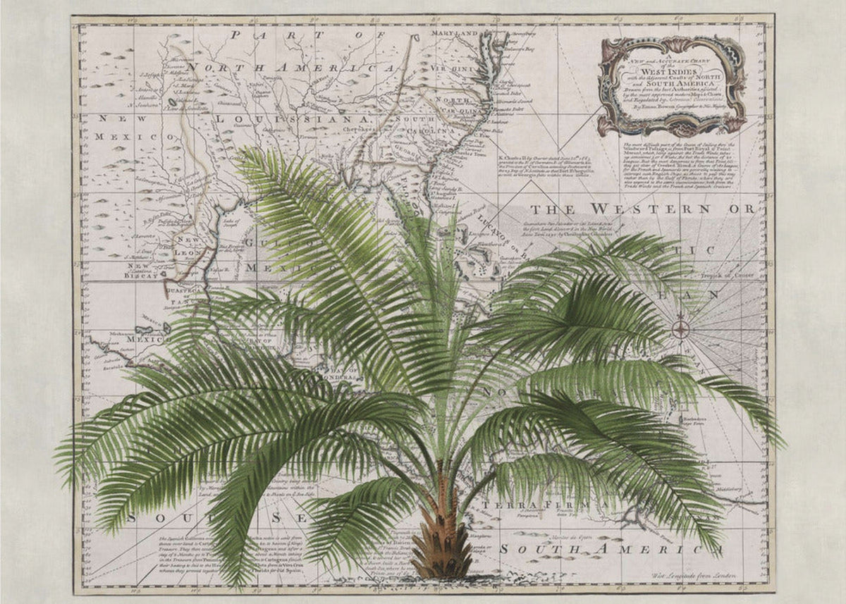 Tropical Empire No. 2