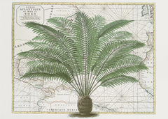 Kartor Tropical Empire No5 – kvalitetsprodukt för ett vackrare och mer hållbart hem