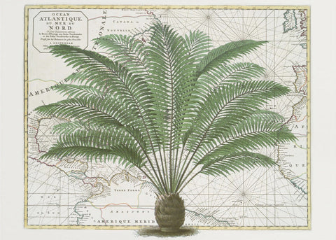 Tropical Empire No5