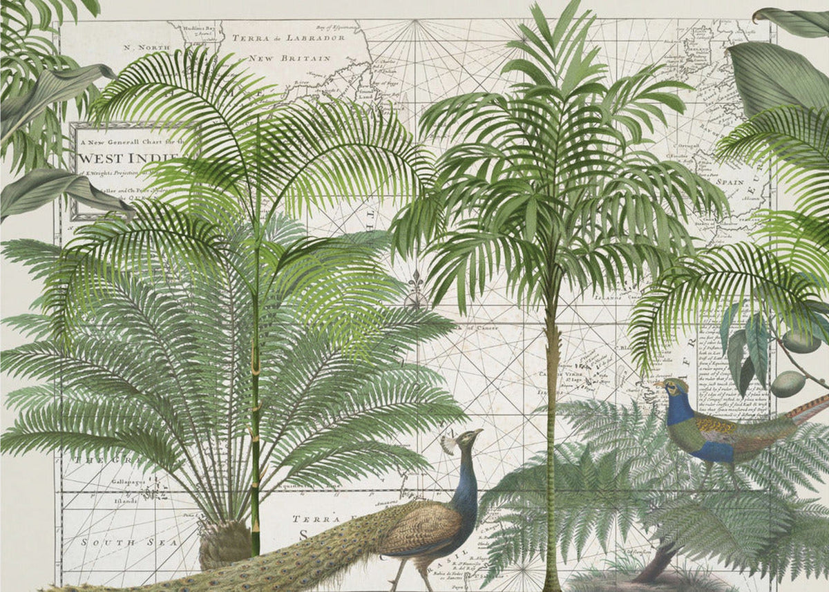 Tropical Empire nr. 6