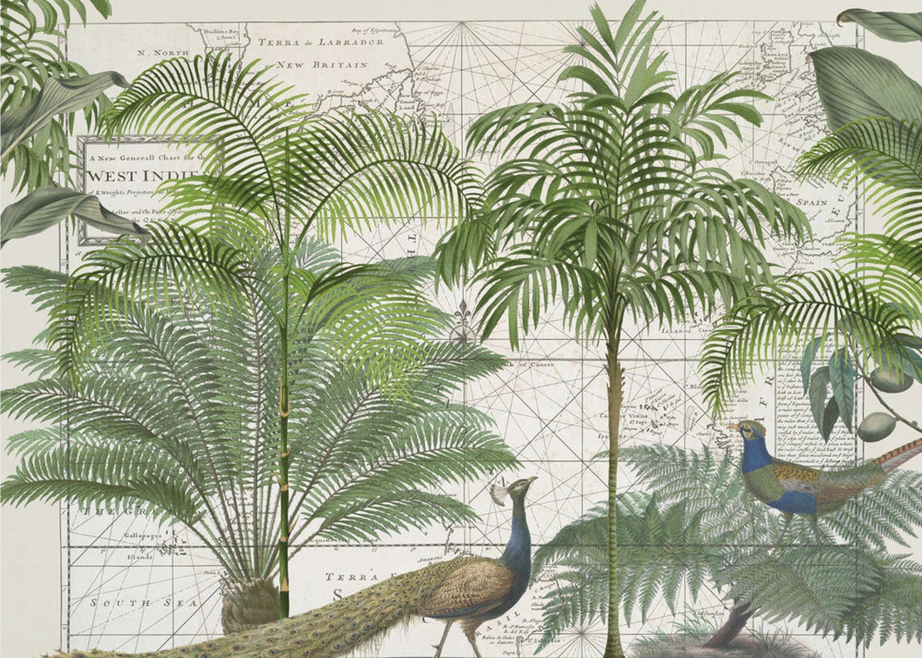 Tropical Empire No. 6