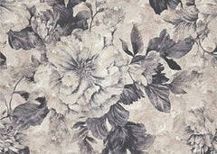 Dramatic Grey Peonies