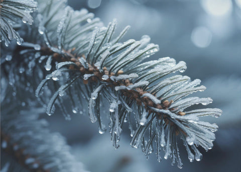 Winter Impressions No 9