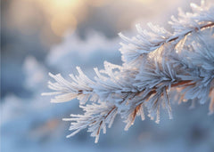 Landskap Winter Impressions No 7 – kvalitetsprodukt för ett vackrare och mer hållbart hem