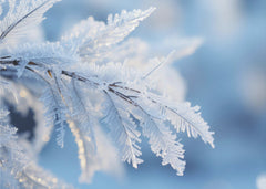 Landskap Winter Impressions No 6 – kvalitetsprodukt för ett vackrare och mer hållbart hem