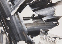 Textured Black White Paint