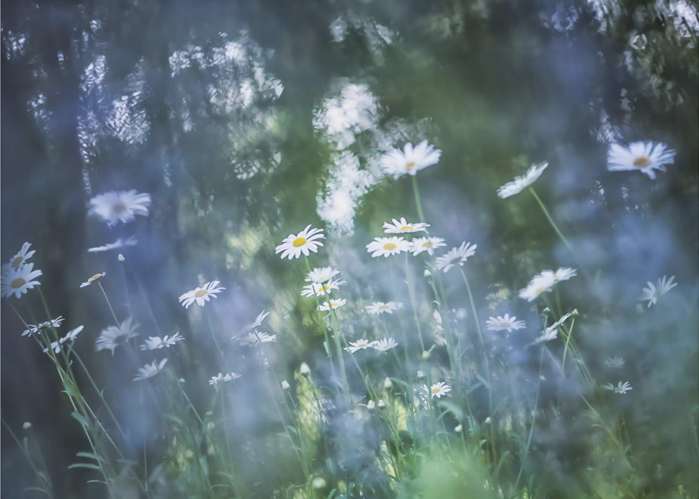 A breath of blue – Abstrakt fototapet i blå toner med makronärbild