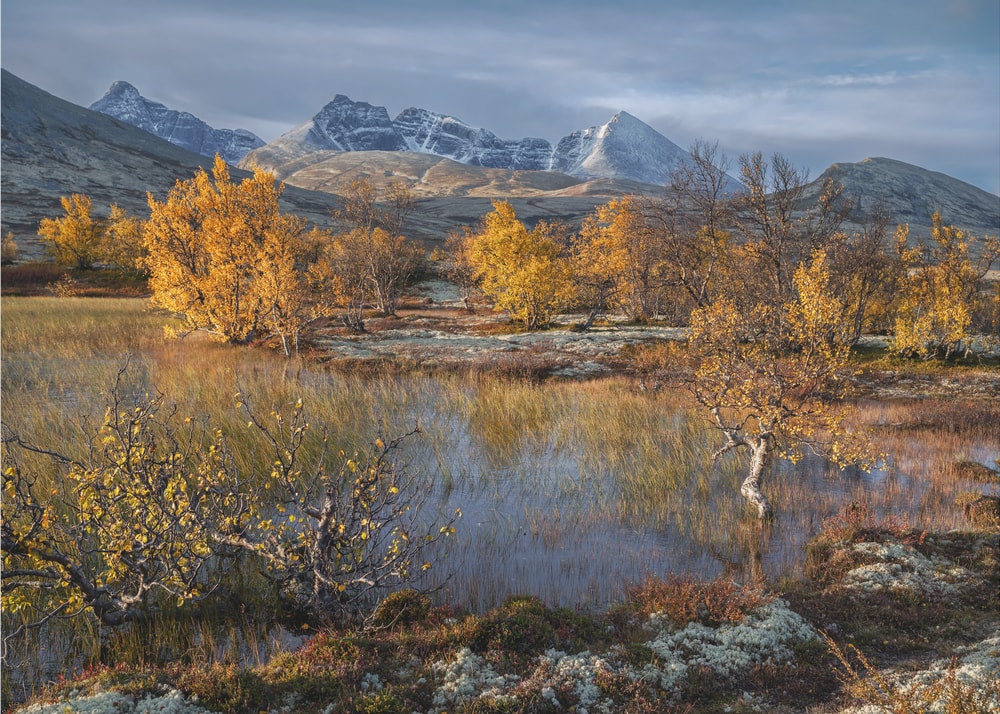 Golden Autumn Reflections
