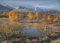Golden Autumn Reflections