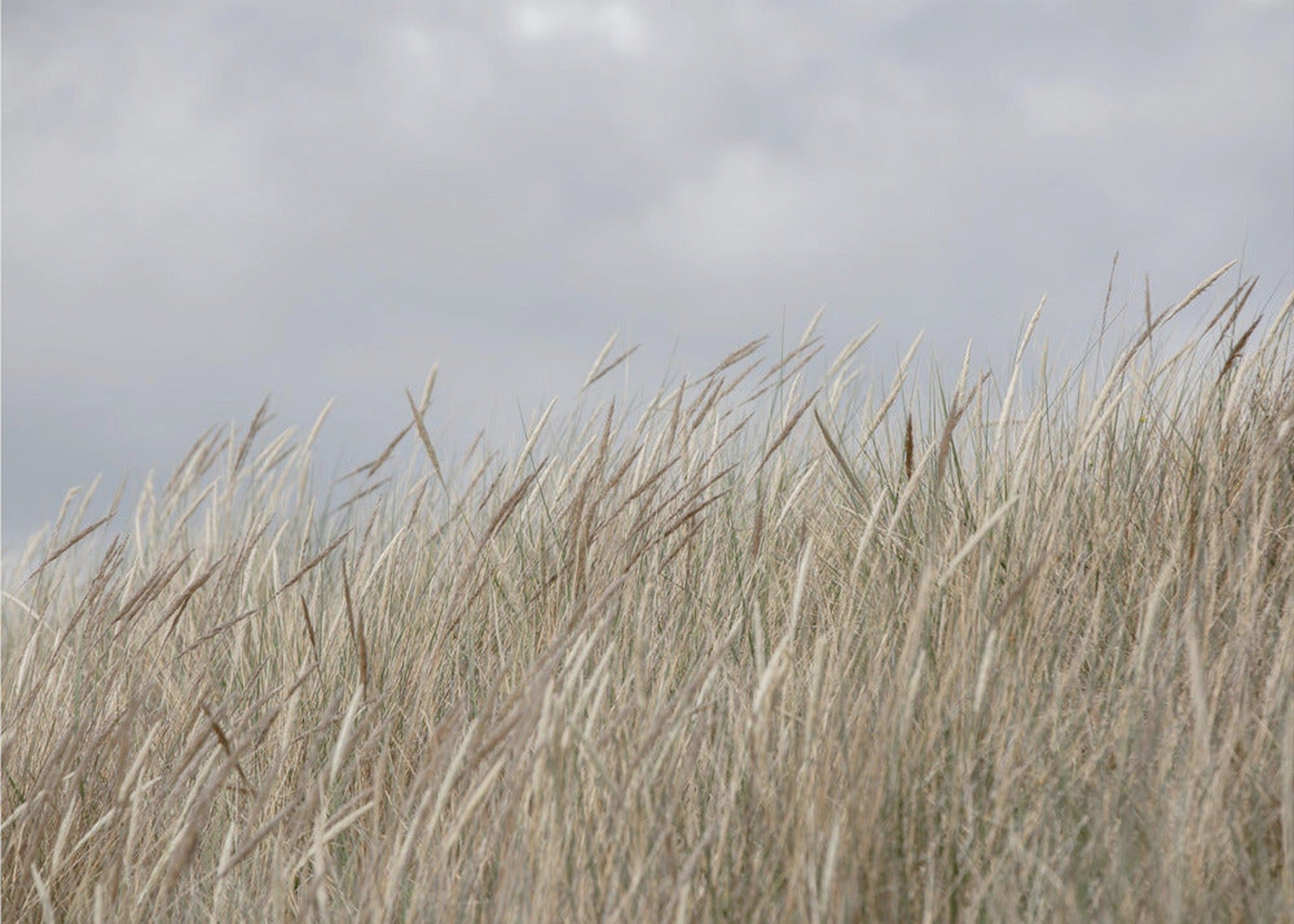 Dunes and Clouds