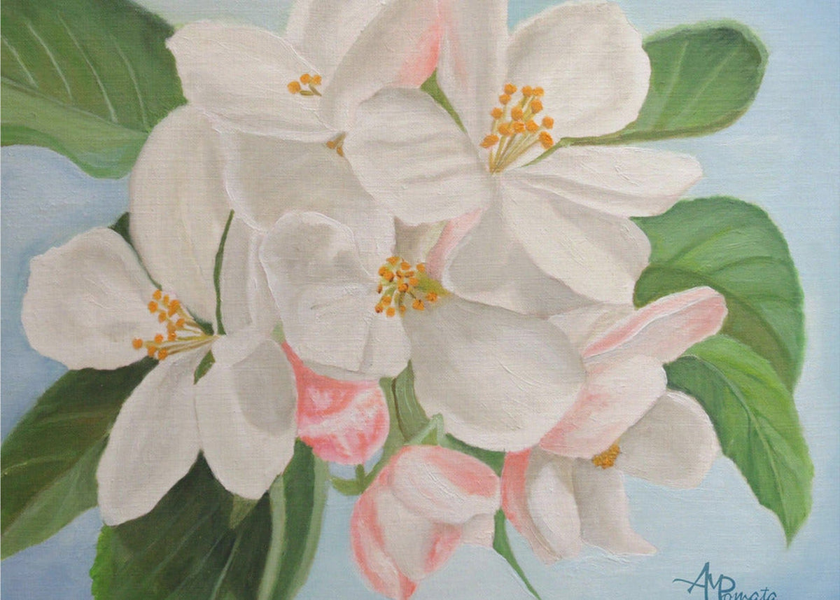 Epleblomst