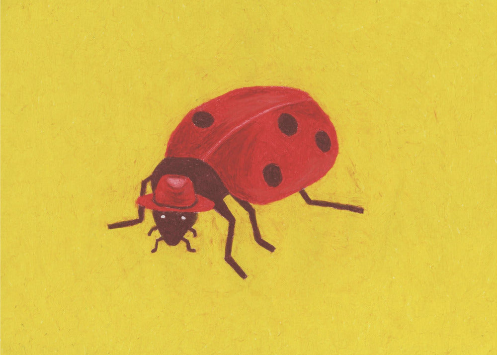 Ladybird