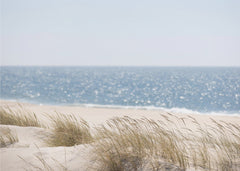 Sommar Coast Landscapes 3 – kvalitetsprodukt för ett vackrare och mer hållbart hem