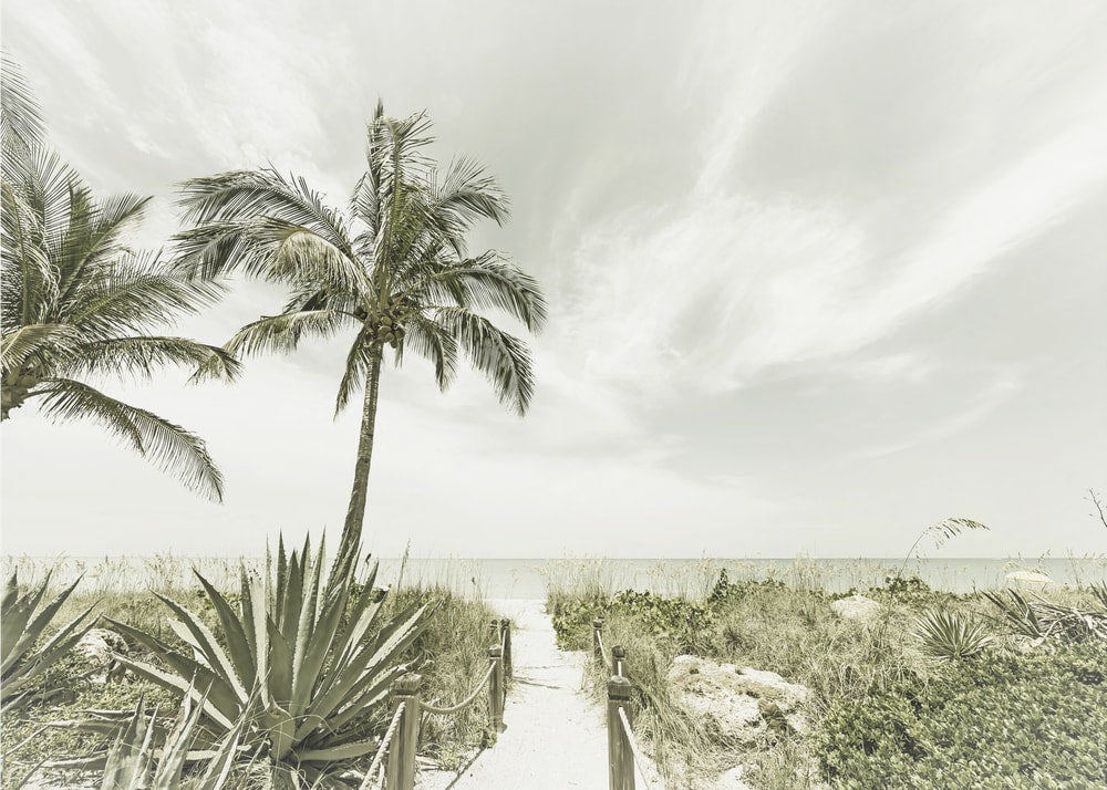 Vintage Tropical Beach Path