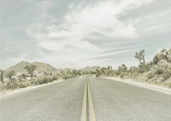 Long Desert Road