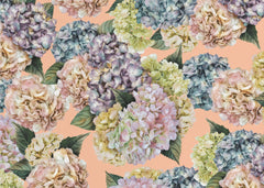 Blommor Hydrangeas_Peach Fuzz – kvalitetsprodukt för ett vackrare och mer hållbart hem