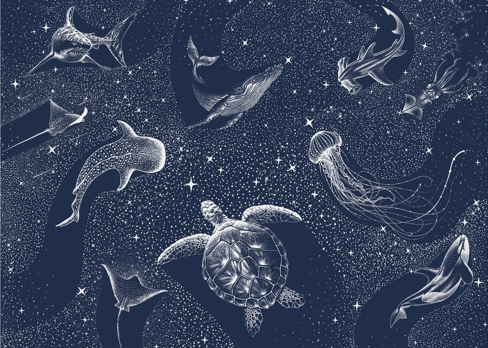 Cosmic Ocean Animals